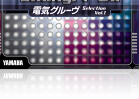 denki groove
